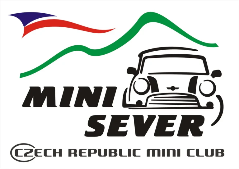 Mini Sever